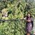 Diệp Thanh's profile image