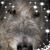 Mevt Sherry's profile image