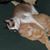 Judith Jay's profile image