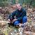 Mike Shortall's profile image