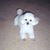 Marcia Kahn Markley's profile image