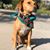 Tracy Schmiedeberg's profile image