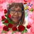 Sophia Jewell Taylor's profile image