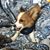 Littleton Duderino's profile image
