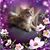 Carol Brandel's profile image