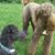 Pam Sumner Peters's profile image
