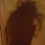 Jason Bennett's profile image