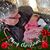 Steve Mentzer's profile image