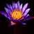Karen Hendrick's profile image