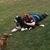 Catie Winslow's profile image