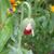 MiRan Surh's profile image