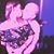 Sarah Louise Carr's profile image