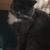 Colleen Davis Fitzgerald's profile image