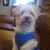 Esther Bryant's profile image
