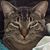 Kathy Roberts's profile image