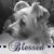 Deborah C Novakovic's profile image