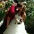 Kayla Montague's profile image
