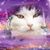 Patty Seminario's profile image
