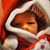 Joe A Guzman Jr.'s profile image
