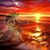 Matautia Flo's profile image