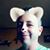 Matt Royer's profile image