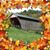 Cheryl Brom's profile image