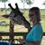 Katie Burke's profile image