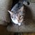 Robin Keith Haybarker's profile image