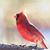 Barbara Hymer's profile image