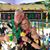 Tracy Lehman's profile image