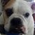 Kathryn Jeanne's profile image