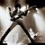 Eric Dinse's profile image