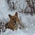 Stephanie Walp's profile image