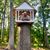 Troy Clinedinst's profile image
