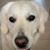 Jane Hersey Sanborn's profile image