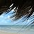Nancy Raymond's profile image