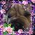 Joyann Woodruff's profile image
