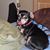 Anna Flores's profile image