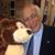 Albert M Shifberg-Mencher's profile image