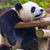 Judy Fehr's profile image