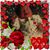 Melissa Hoover's profile image