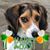Donna Dwayer's profile image
