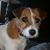 MiMi Alsup's profile image