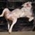 Victoria Monzon's profile image