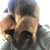 Paula Negron's profile image