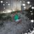 Donna Marie's profile image