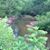 Janet Davis Adams's profile image