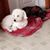 Doreen Panos's profile image