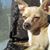 Debbra Anne O's profile image