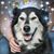 Jody Wheeler's profile image